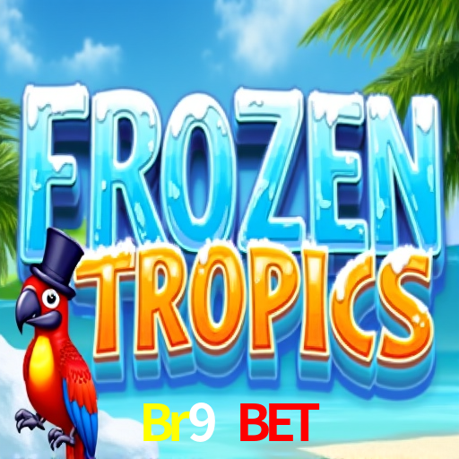 Integração de APIs Br9 Bet